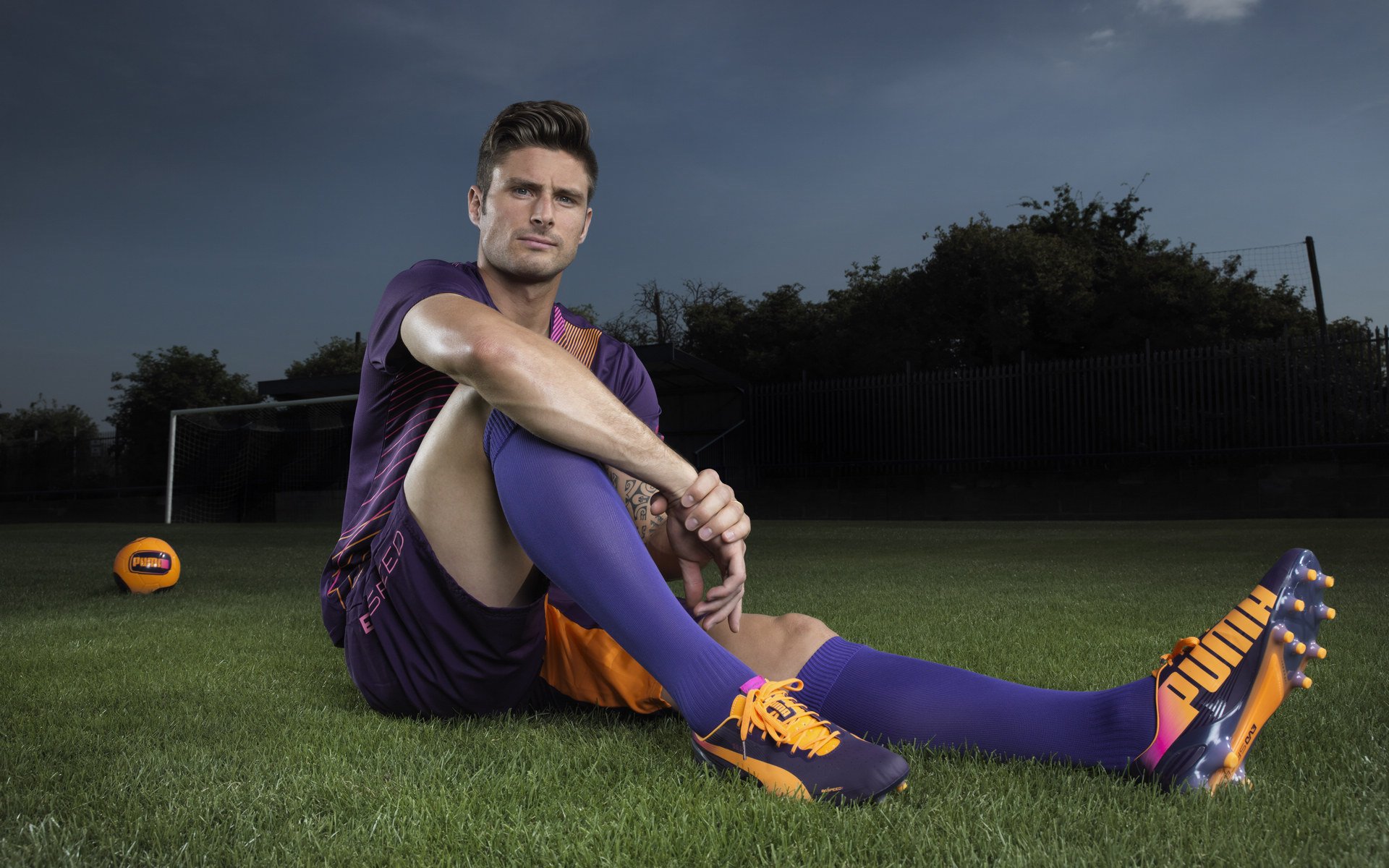 球场安全：未来球场与安保新思路，球场防护