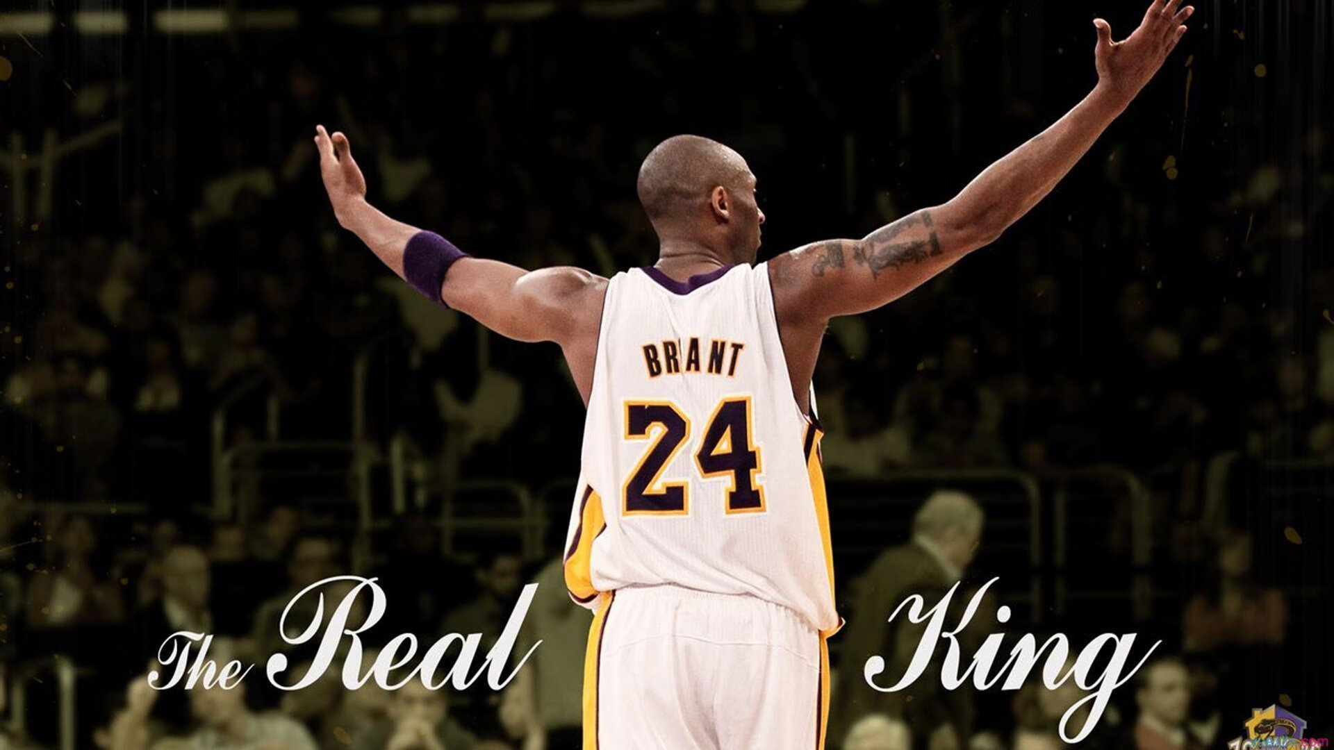 球场安全：未来球场与安保新思路，球场防护